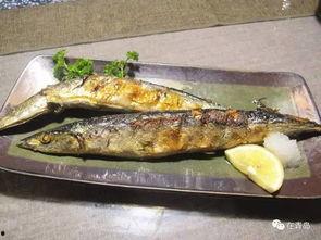 网红黑料牛奶秋刀鱼,揭秘网红背后的黑料真相