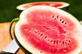 今日吃瓜每日必吃,每日必吃，揭秘娱乐圈新鲜事